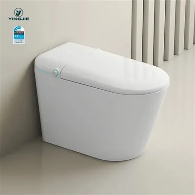 Intelligente Inodoro Foshan el smart wc